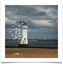 Lighthouse - Bill Rigby